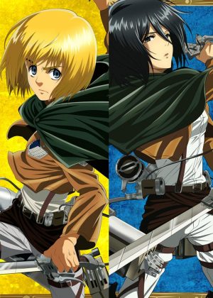 Attack on Titan Armin Arlert &amp; Mikasa Ackerman - Im Angebot Anime-Körperkissen Anime Dakimakura - ABP-DE-SW-669